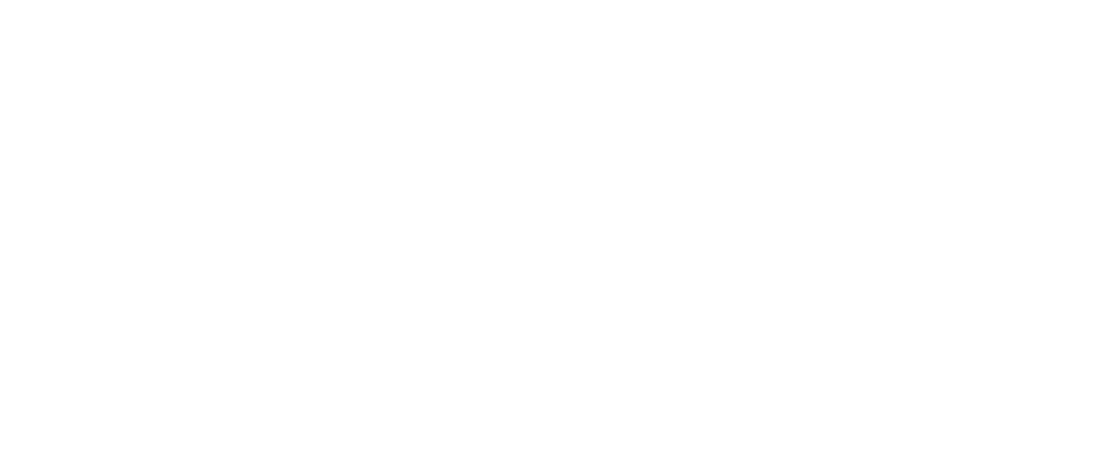 De Visscher