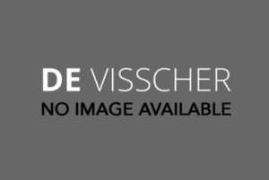 Devisscher