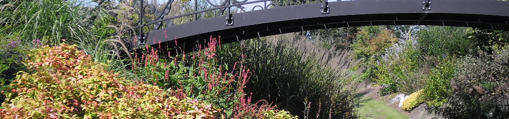 staal, smeedijzer, tuinsmeedwerk, brug, smeedijzeren brug